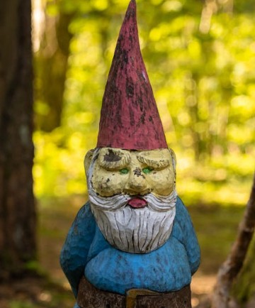 a gnome